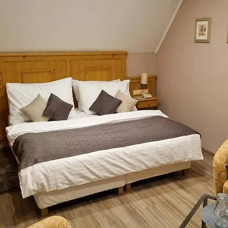 Wellness Zlata Lipa 4* 데친