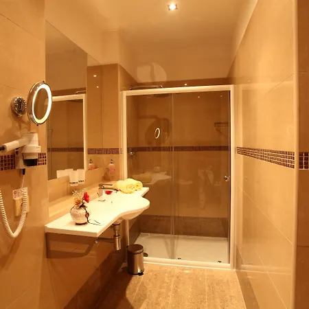 Wellness Zlata Lipa فندق ديشين