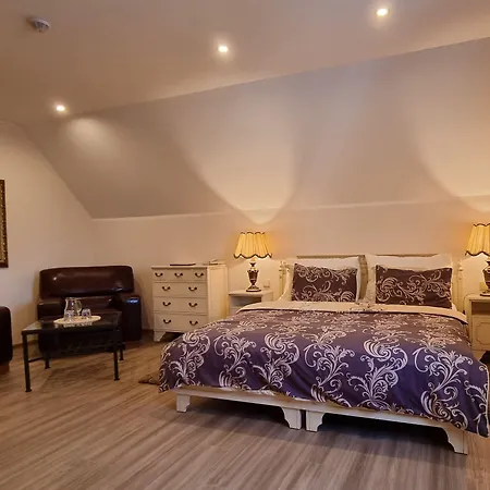 Wellness Zlatá Lípa Hotel Decin
