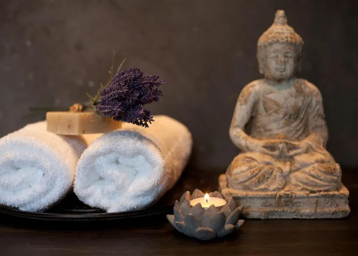 酒店 Wellness Zlata Lipa 德辛