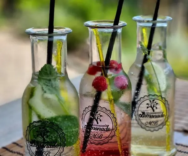 酒店 Wellness Zlata Lipa