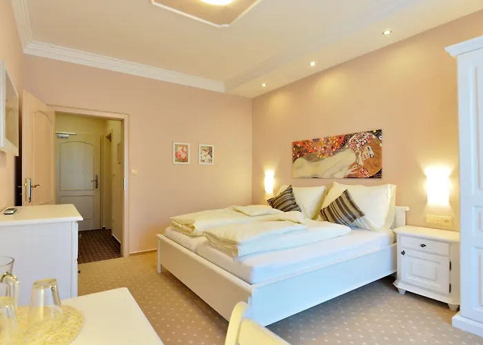 Wellness Zlata Lipa 4* 德辛