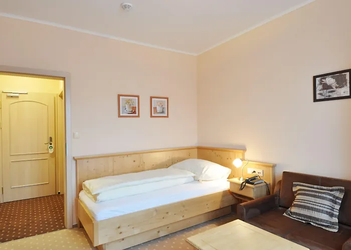 Wellness Zlata Lipa 4* 德辛