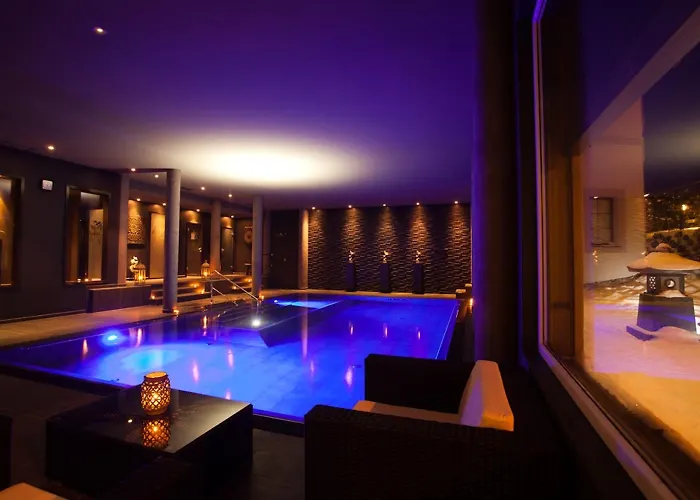 Wellness Zlata Lipa 德辛