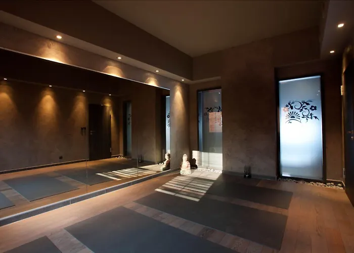 Wellness Zlata Lipa 4* 德辛